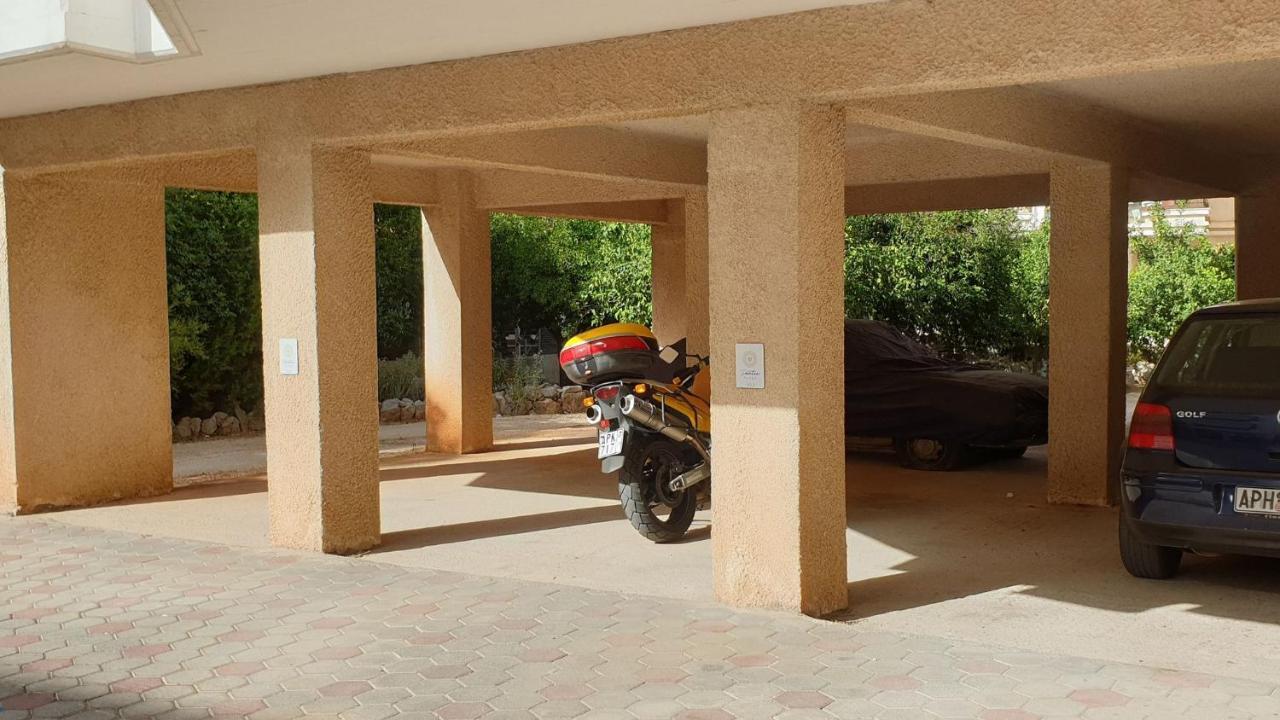 Apartment Dantis Place In Vol.2